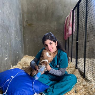 Gabriela Piante - Matosinhos - Funcionários e Auxiliares
