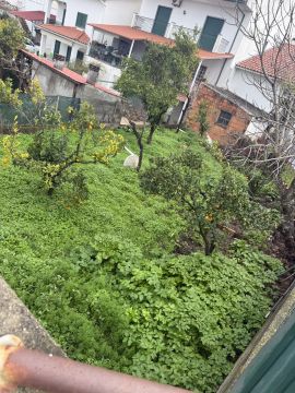 Service de jardinage