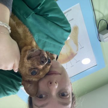 Sara Clérigo - Santa Marta de Penaguião - Dog Walking
