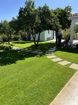 Jardim_Real - Loures - Multi Service Lawn Care