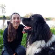 PositiveDog&Terapy Academia Canina - Azambuja - Dog Sitting