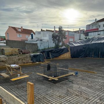 Victor Sirbu - Lisboa - Remoção de Tronco de Árvore