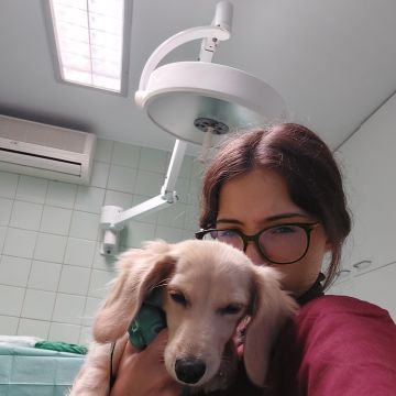 Bruna Vieira - Maia - Hundeausführung