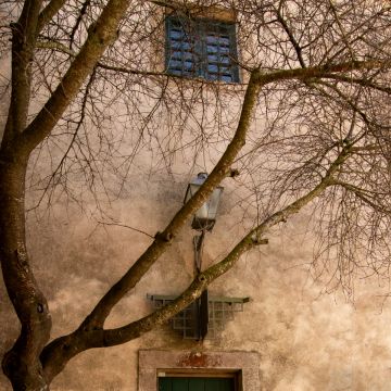 Paloma Fantini - Almada - Kinderfotografie
