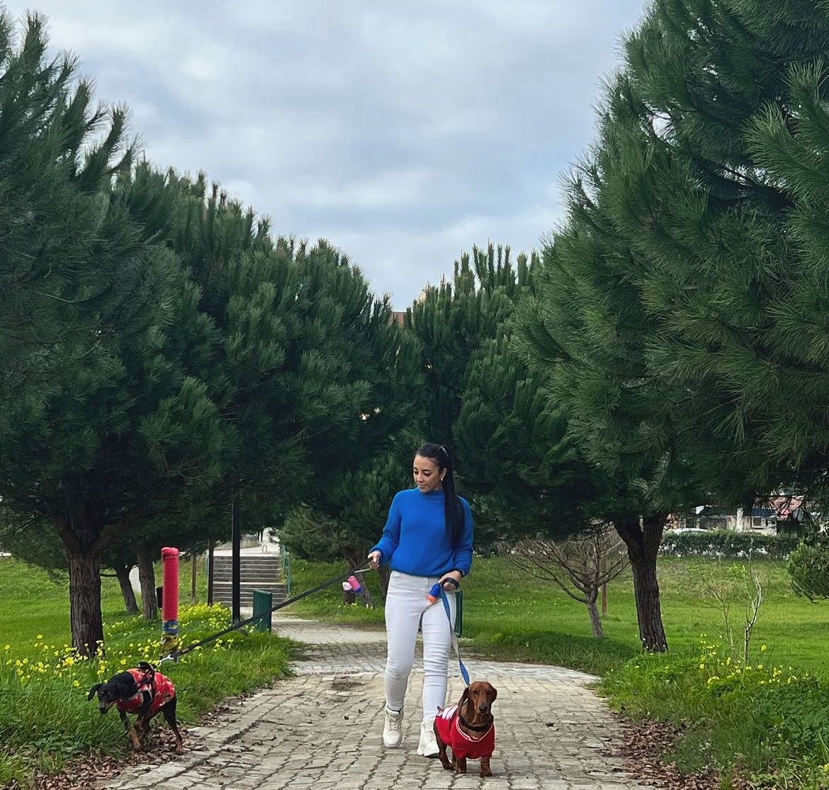 Andressa - Oliveira do Bairro - Hotel for Cats