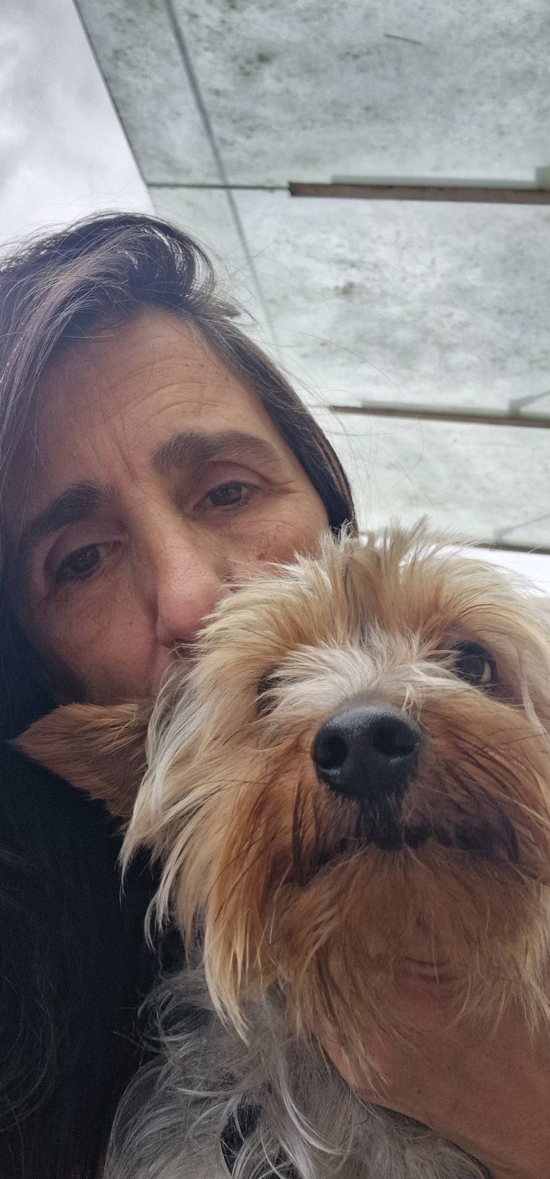SBC PET - Seixal - Cuidar tus perros