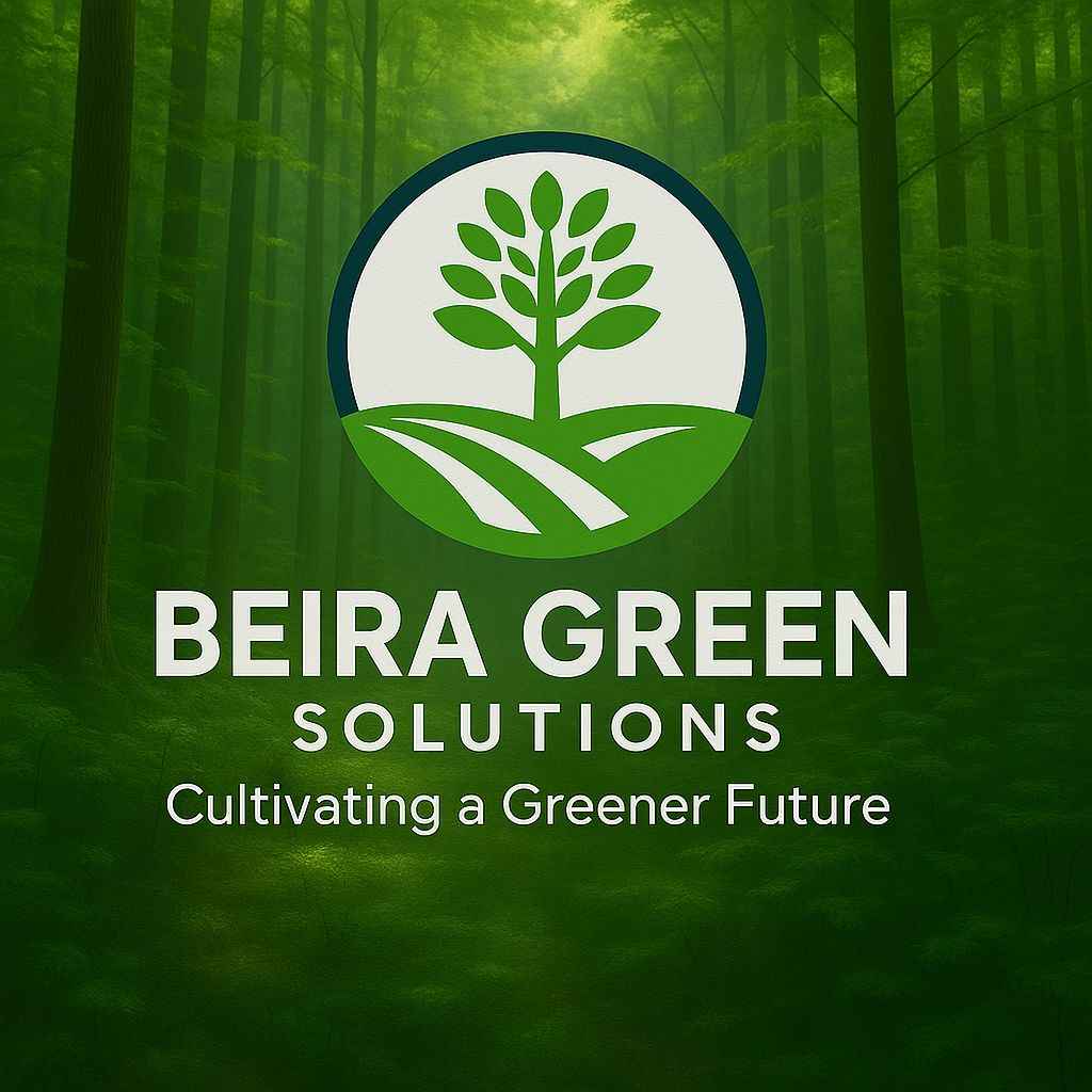 BEIRA GREEN SOLUCTIONS - Nelas - Administrative Unterstützung