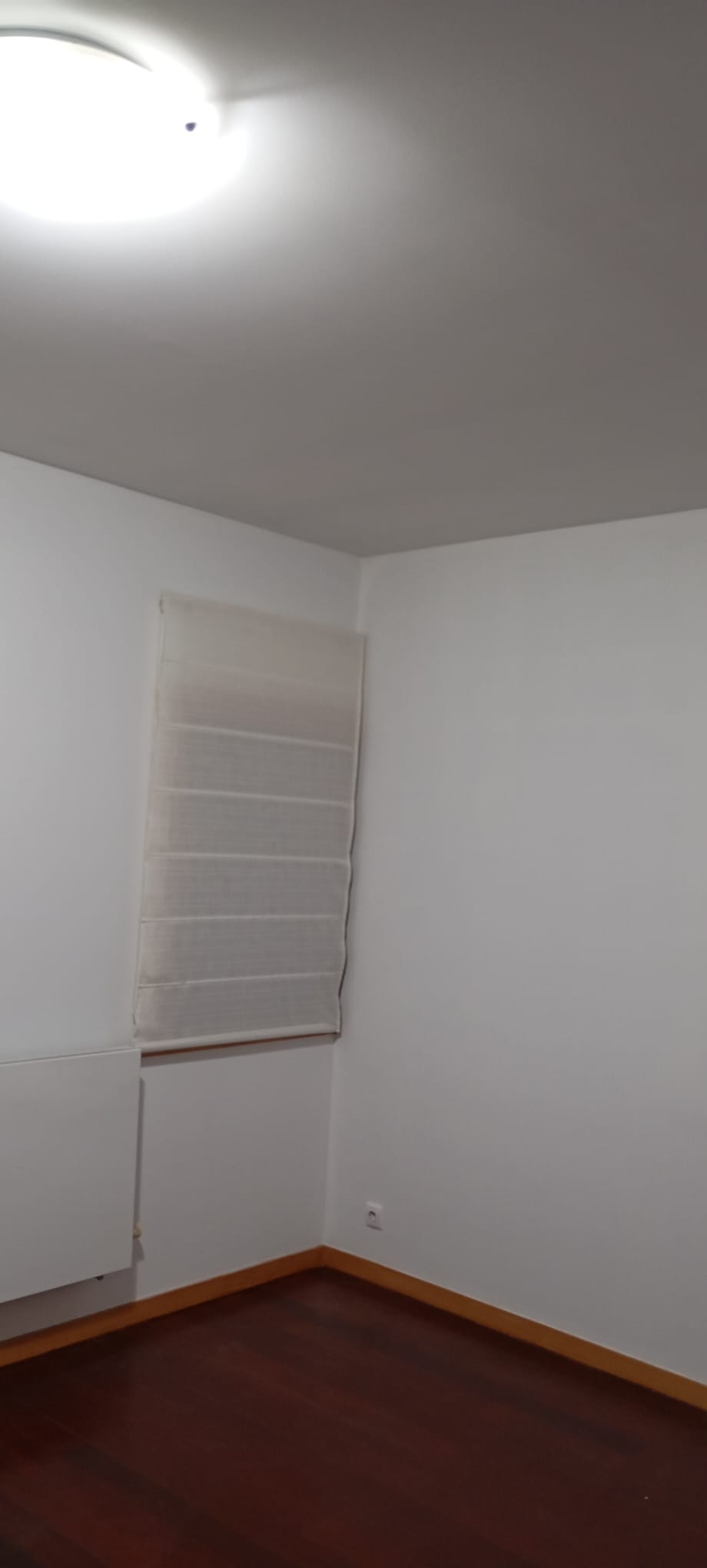 Gilson Moraes - Braga - Insulation