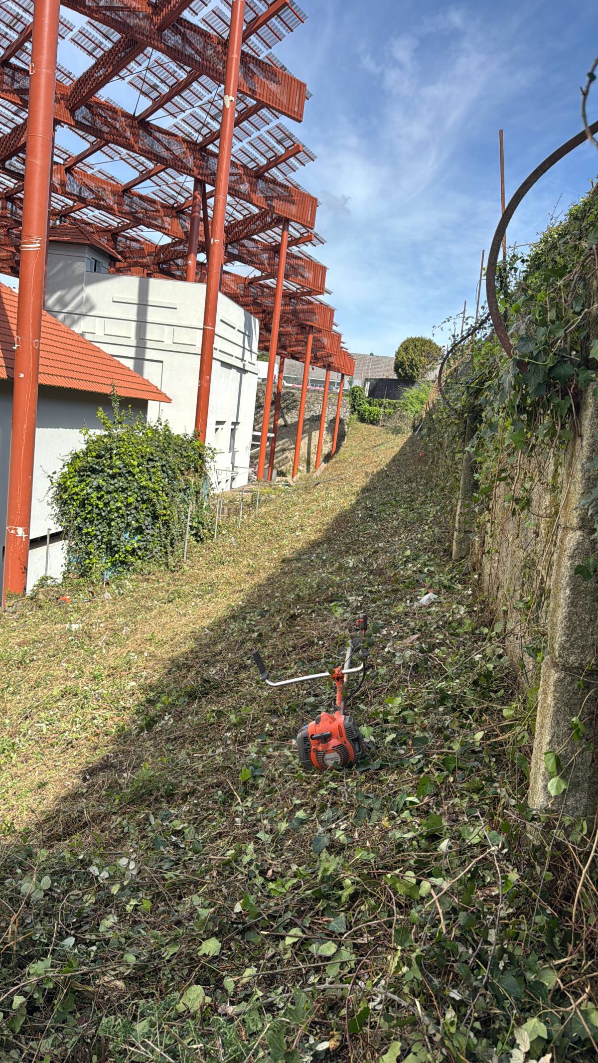 Machadoefernandes - Santo Tirso - Tree Stump Grinding and Removal