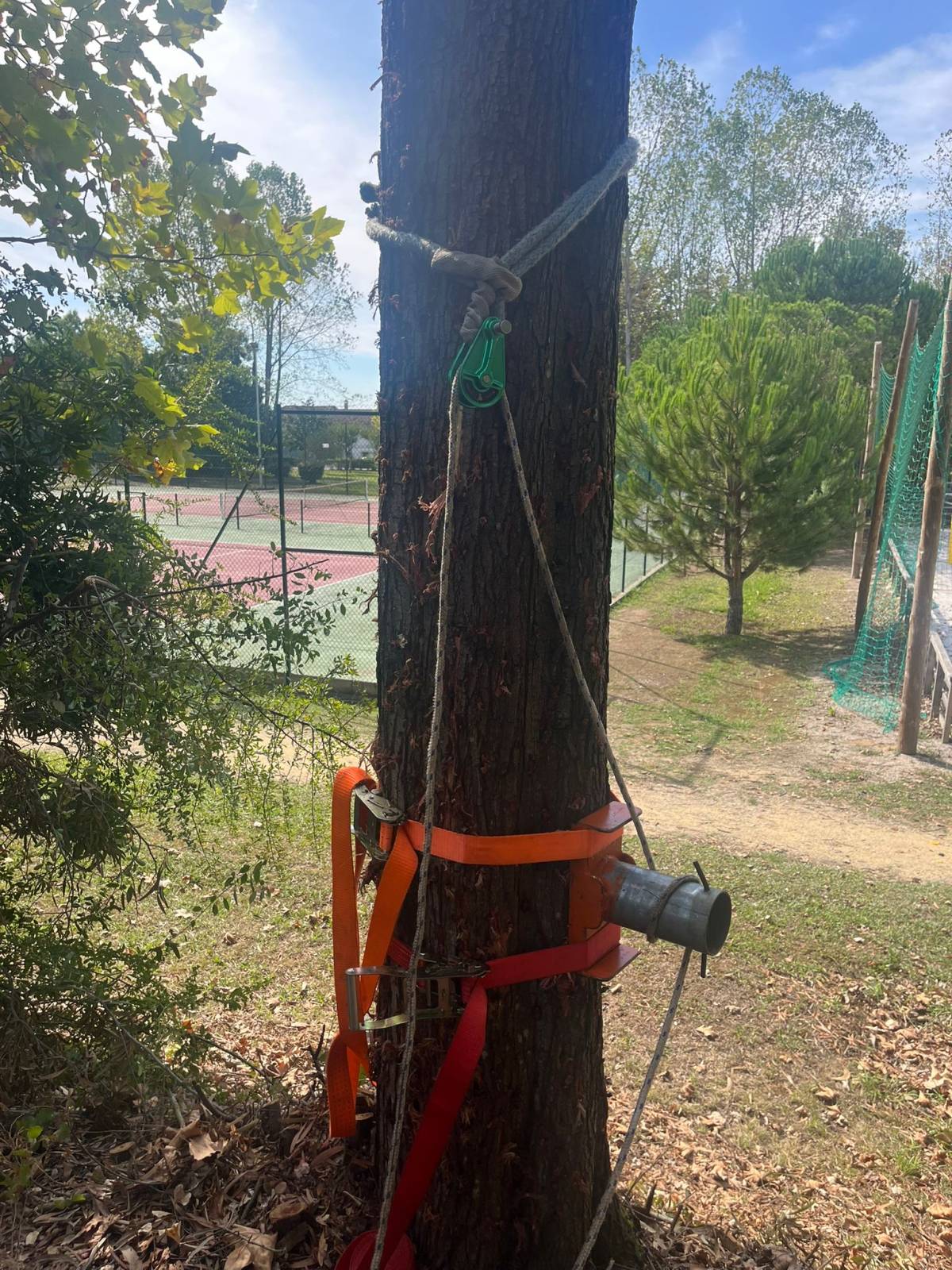 BEIRA GREEN SOLUCTIONS - Nelas - Dachreinigung