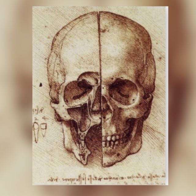 Flavio Garrett - Odivelas - Osteopathy