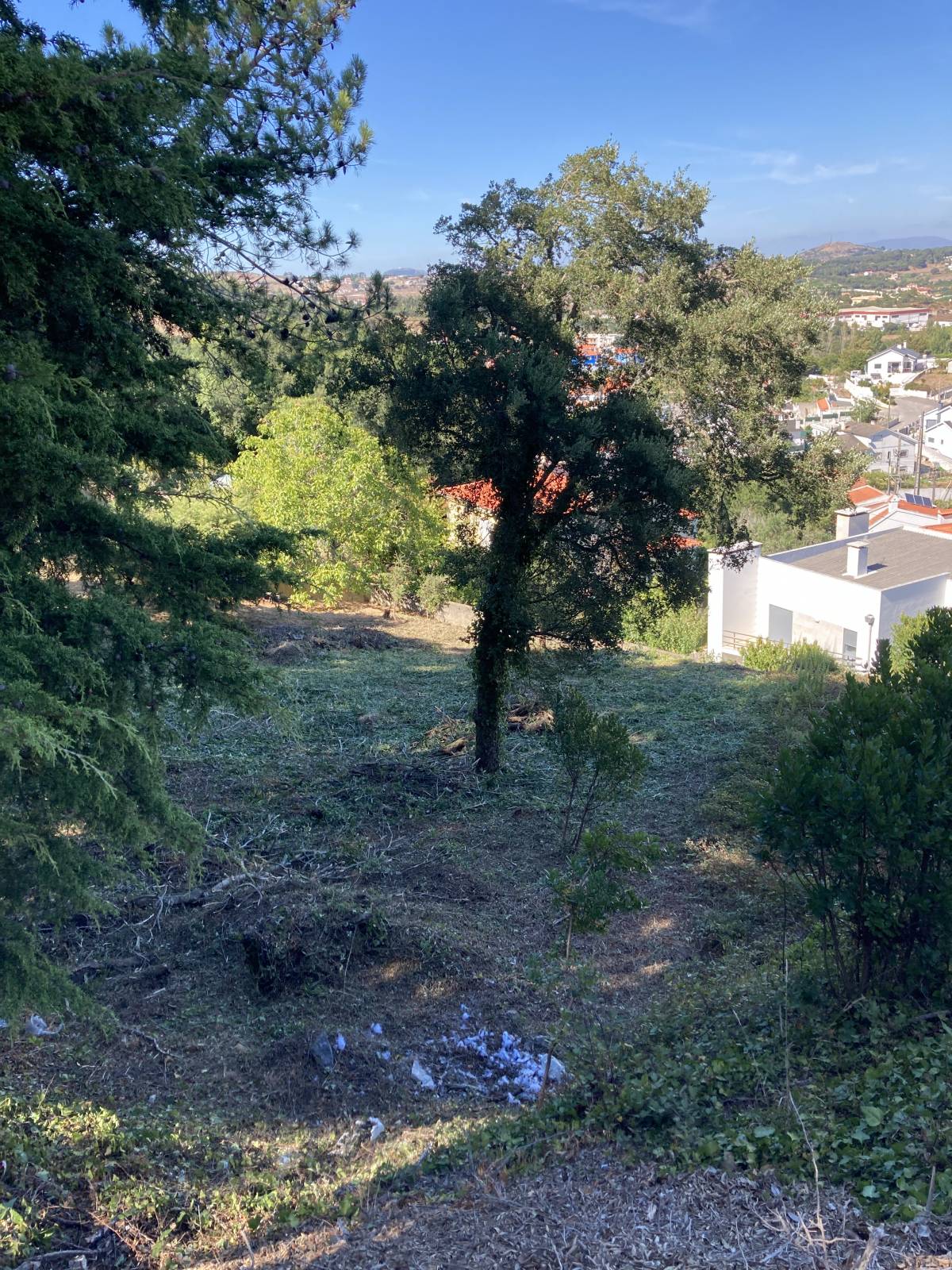 Especialista de Limpeza de Terrenos