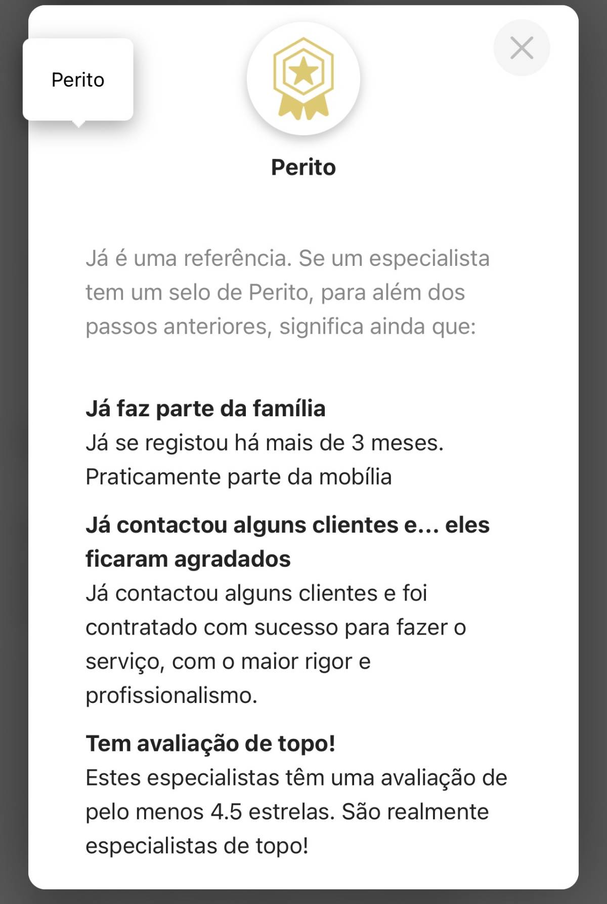 ESPECIALISTA: Manutenção e remodelação de casas; Construção de Estruturas interiores e exteriores, Aplicação de Piso Flutuante, Pintura, Limpeza Geral - Porto - Haushaltsorganisation