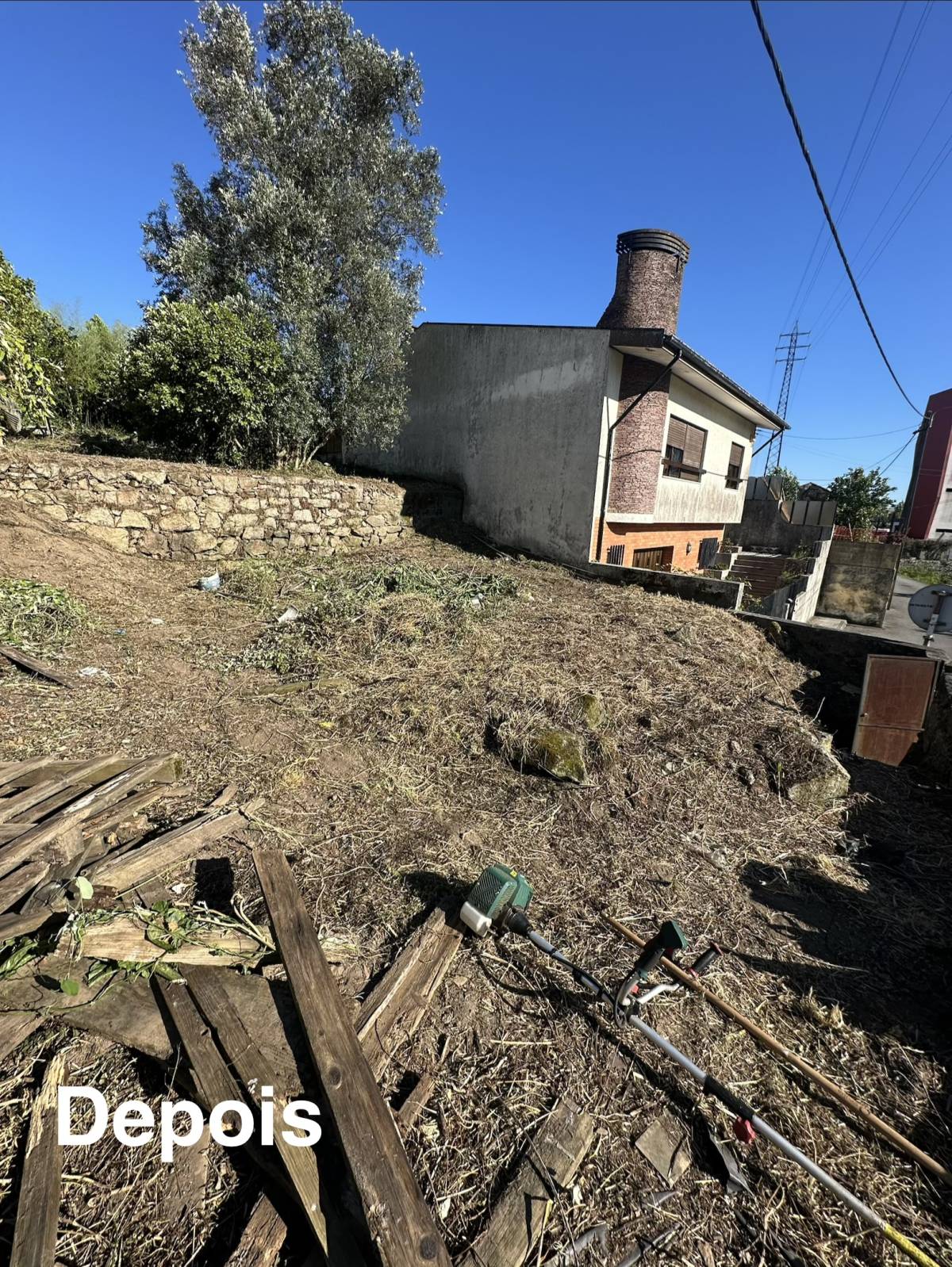 RP Landscaping - Gondomar - Baumstumpf oder -wurzel wegfräsen und entfernen