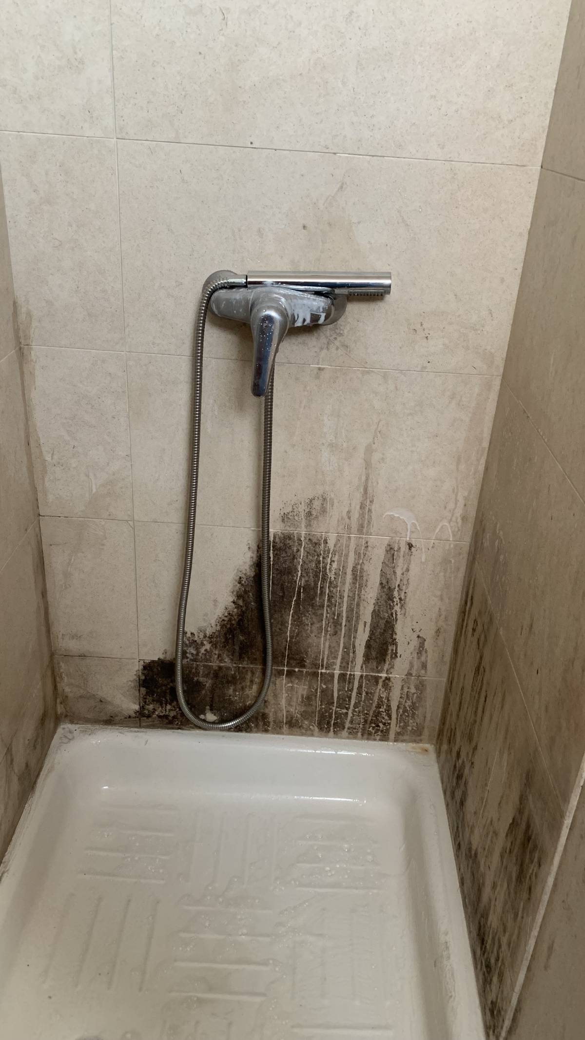 Andressa - Braga - Deep or Spring Cleaning
