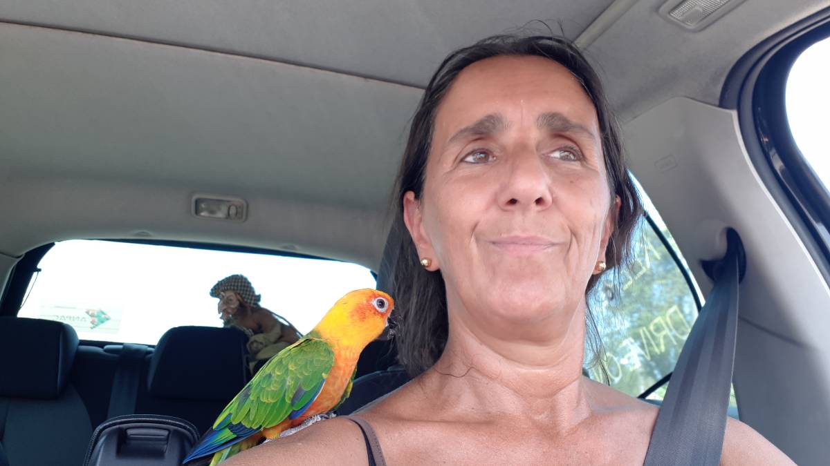 SBC PET - Seixal - Cuidar tus perros