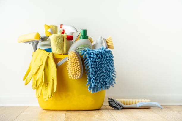Limpeza Ideal - Santa Maria da Feira - Domestic Services