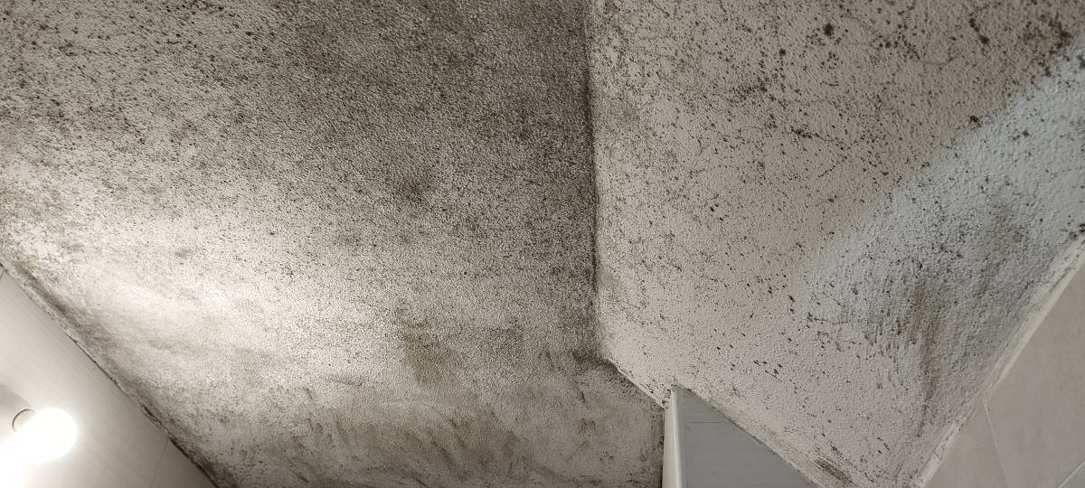 Sheyla Veras e Estan Veras - Vila de Rei - House Cleaning (Recurring)