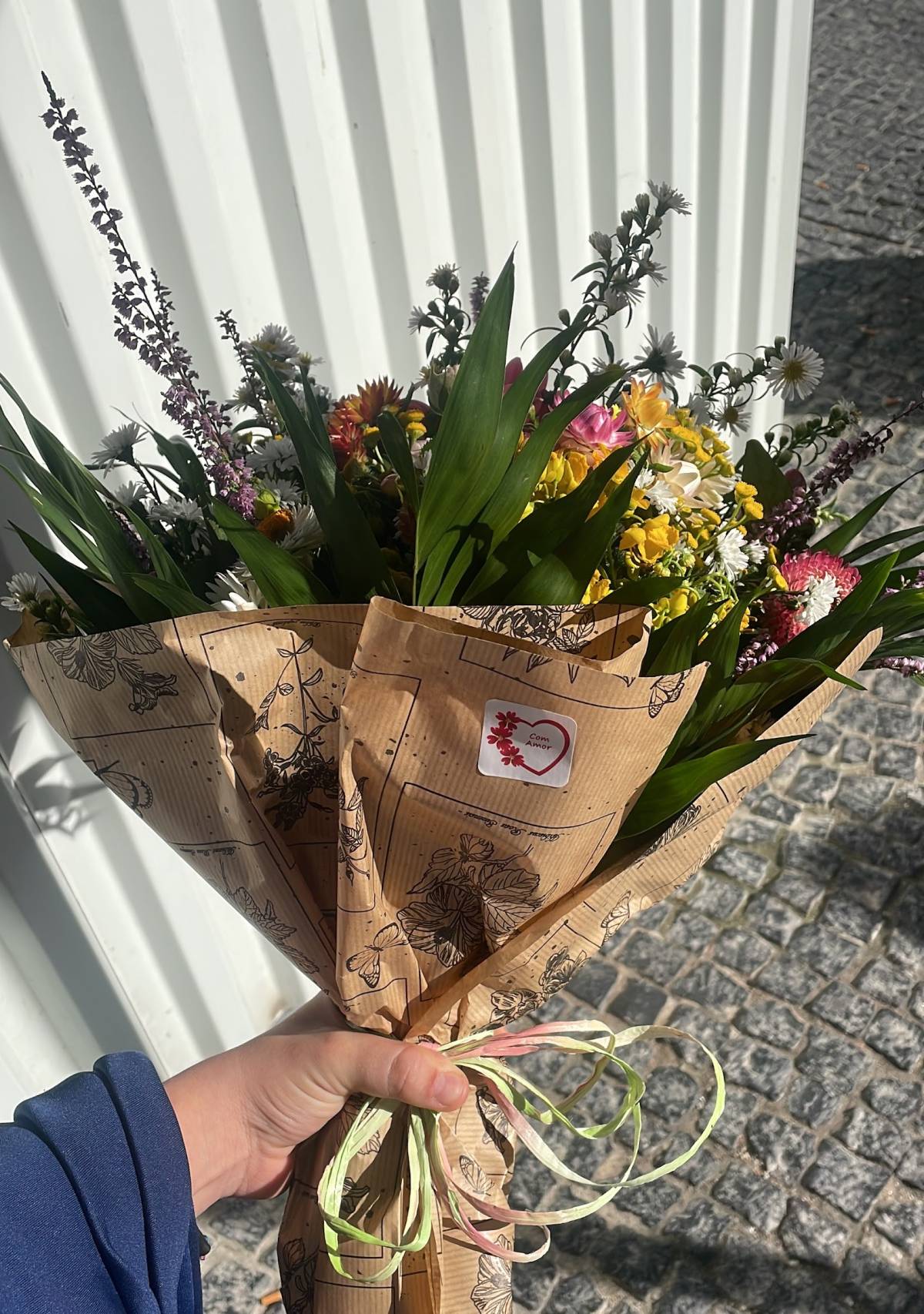 Yara Melo - Matosinhos - Hauswächter