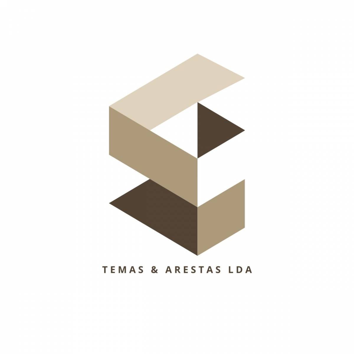 Temas & Arestas - Salvaterra de Magos - Kitchen Remodel