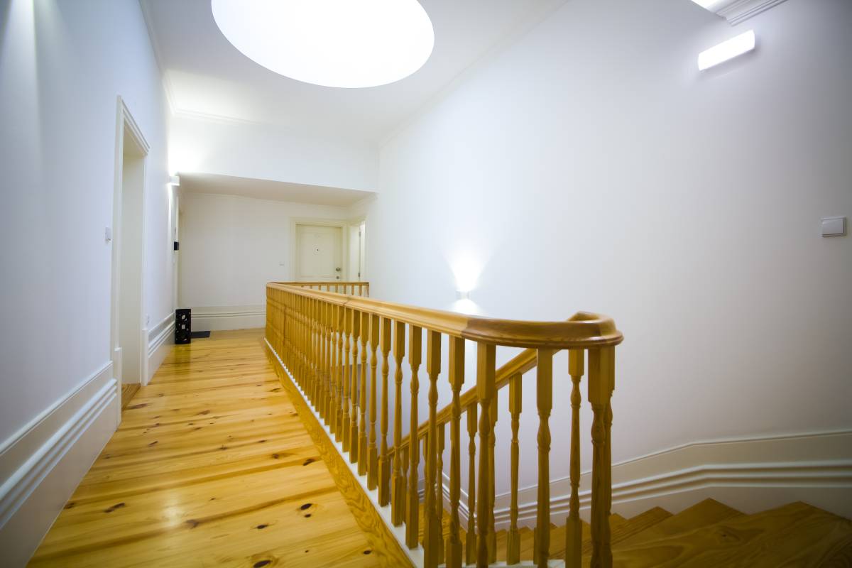 Vitor Fonseca - Valongo - Fotografia de Animais de Estimação