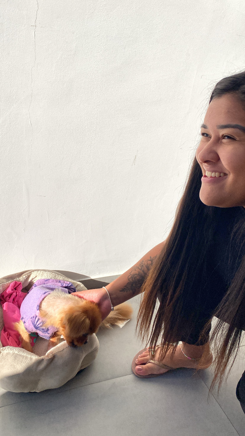 Julliana PetSitter - Porto - Cat Sitting