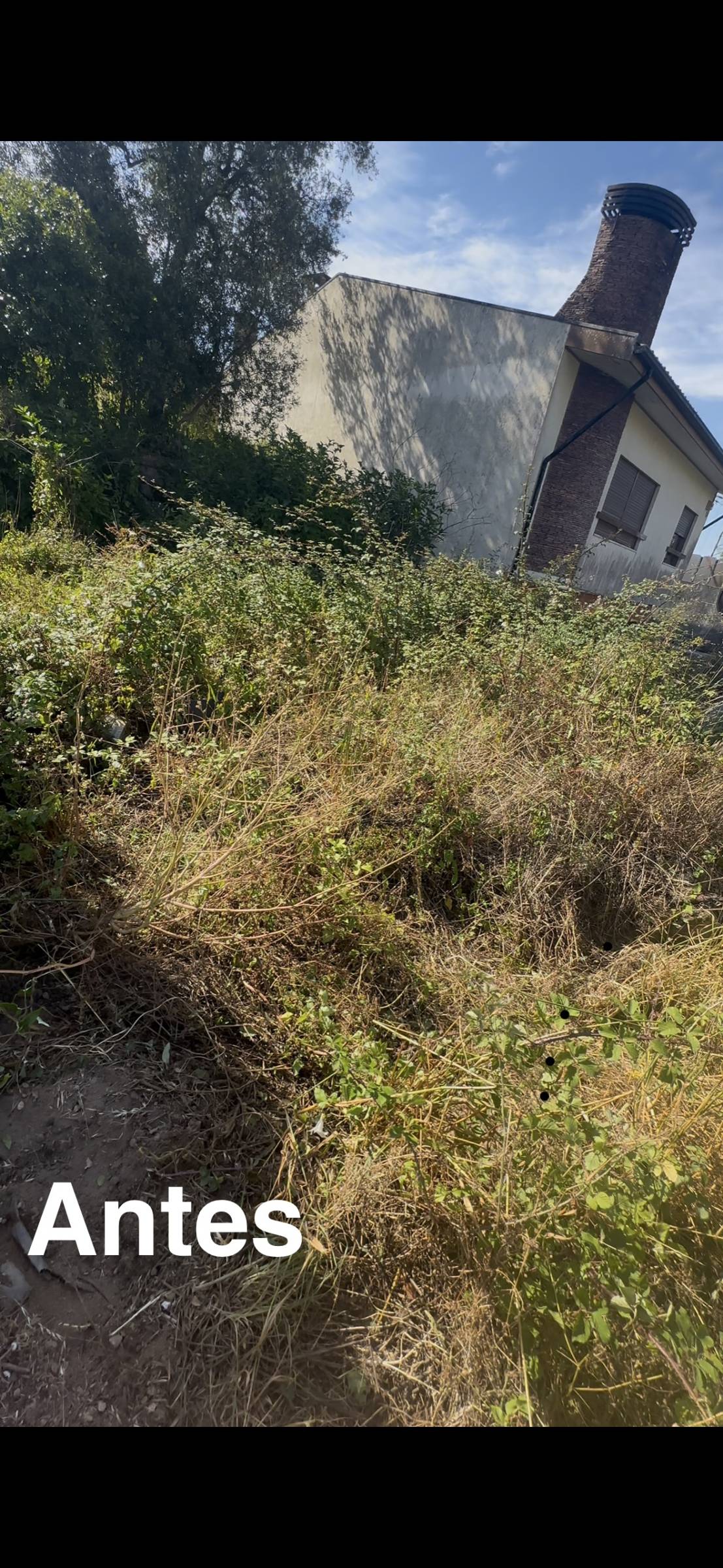 RP Landscaping - Gondomar - Baumpflege