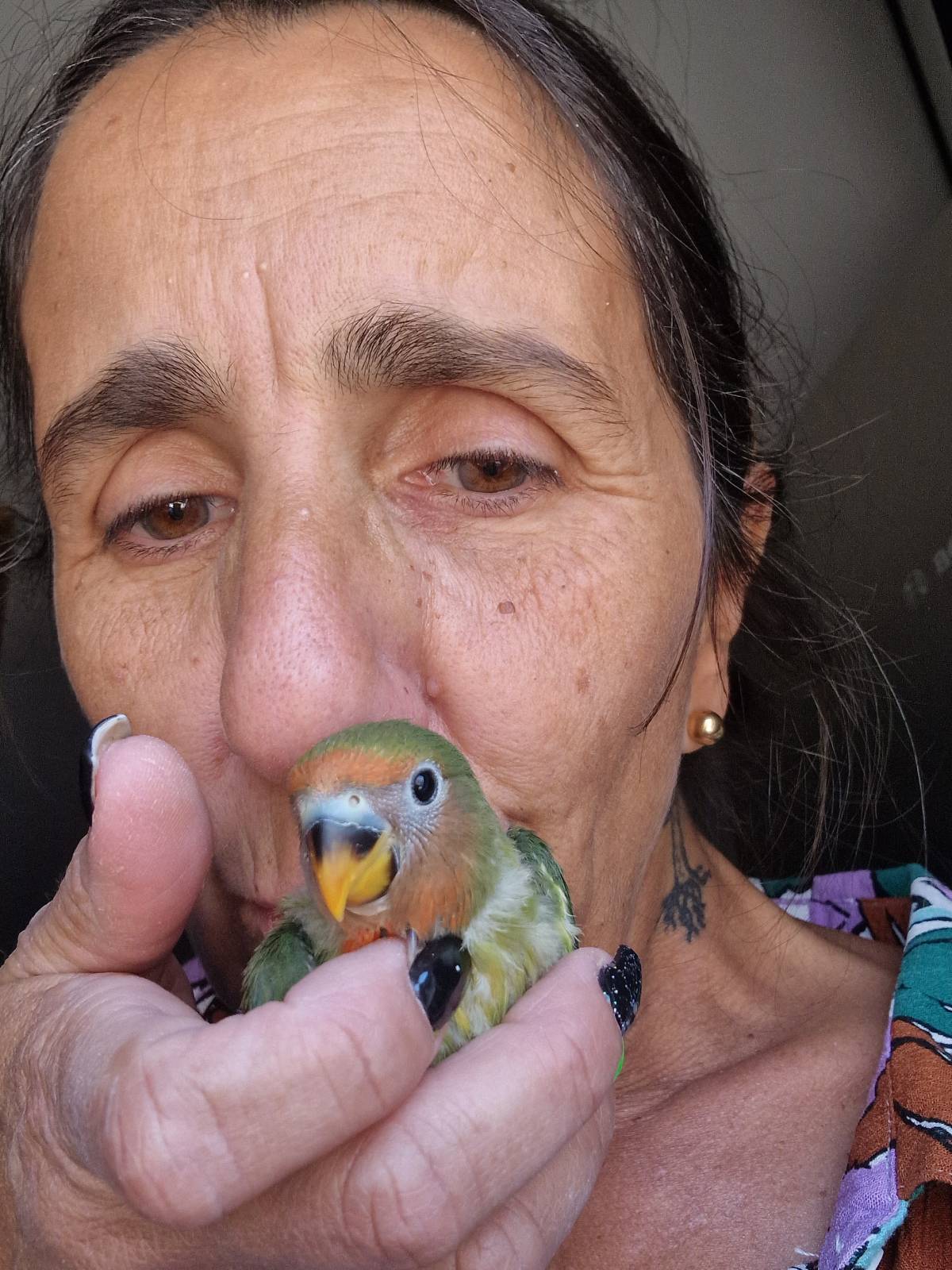 SBC PET - Seixal - Cuidar tus perros