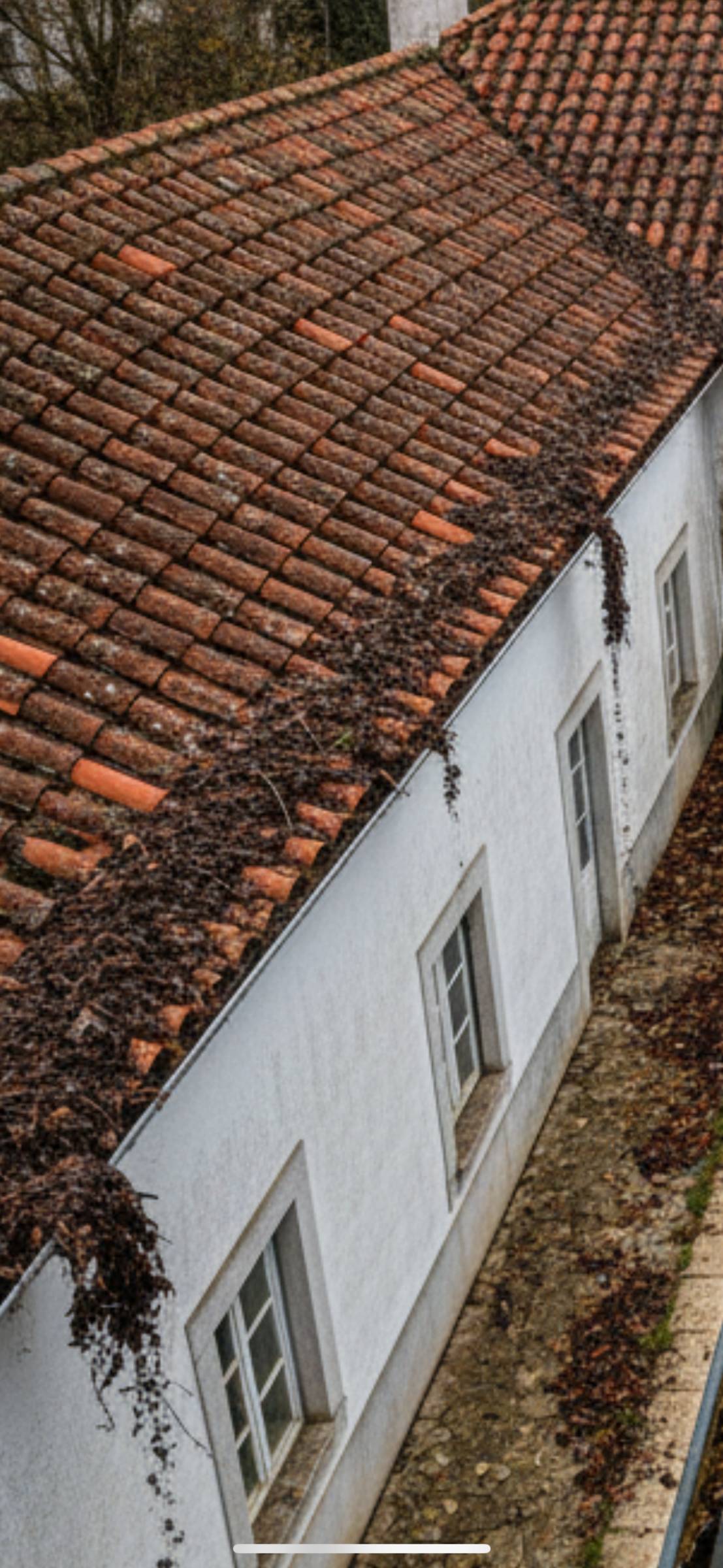 Marcelo Apassi - Montijo - Landschaftsbau & Bewässerung