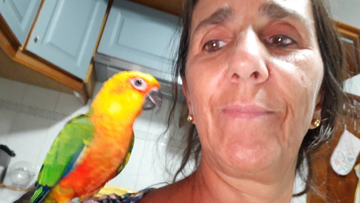 SBC PET - Seixal - Paseador de perros