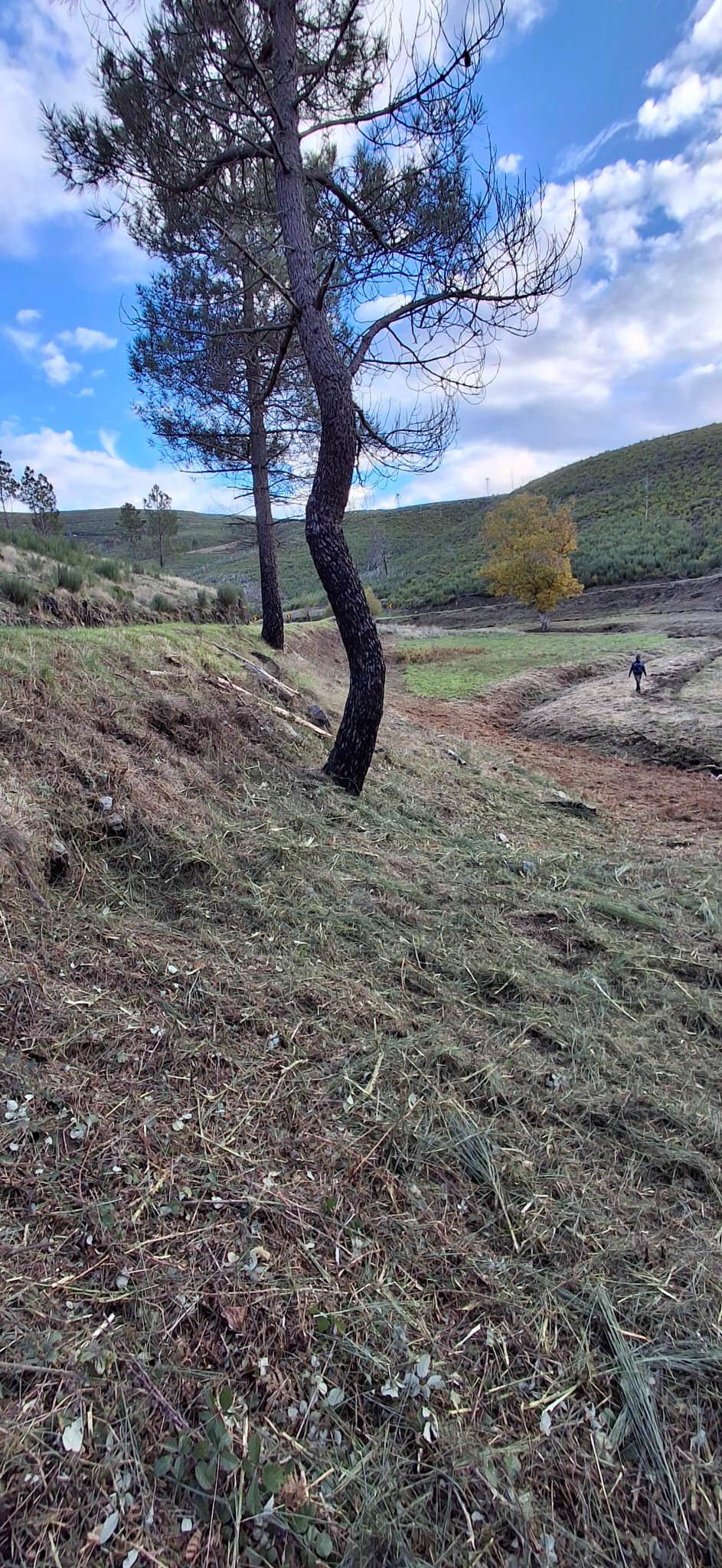 BEIRA GREEN SOLUCTIONS - Nelas - Außenanstrich