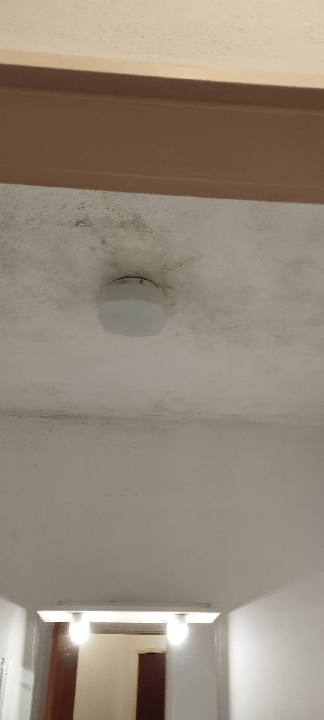 Sheyla Veras e Estan Veras - Vila de Rei - Office Cleaning (Recurring)
