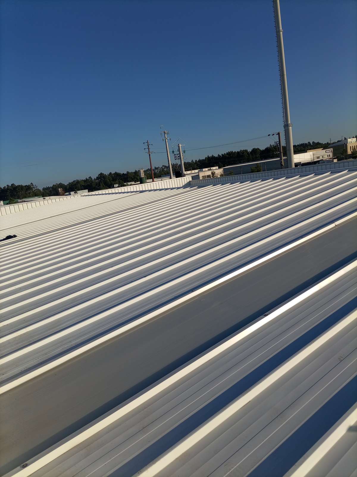 Dinis - Águeda - Roof Repair or Maintenance