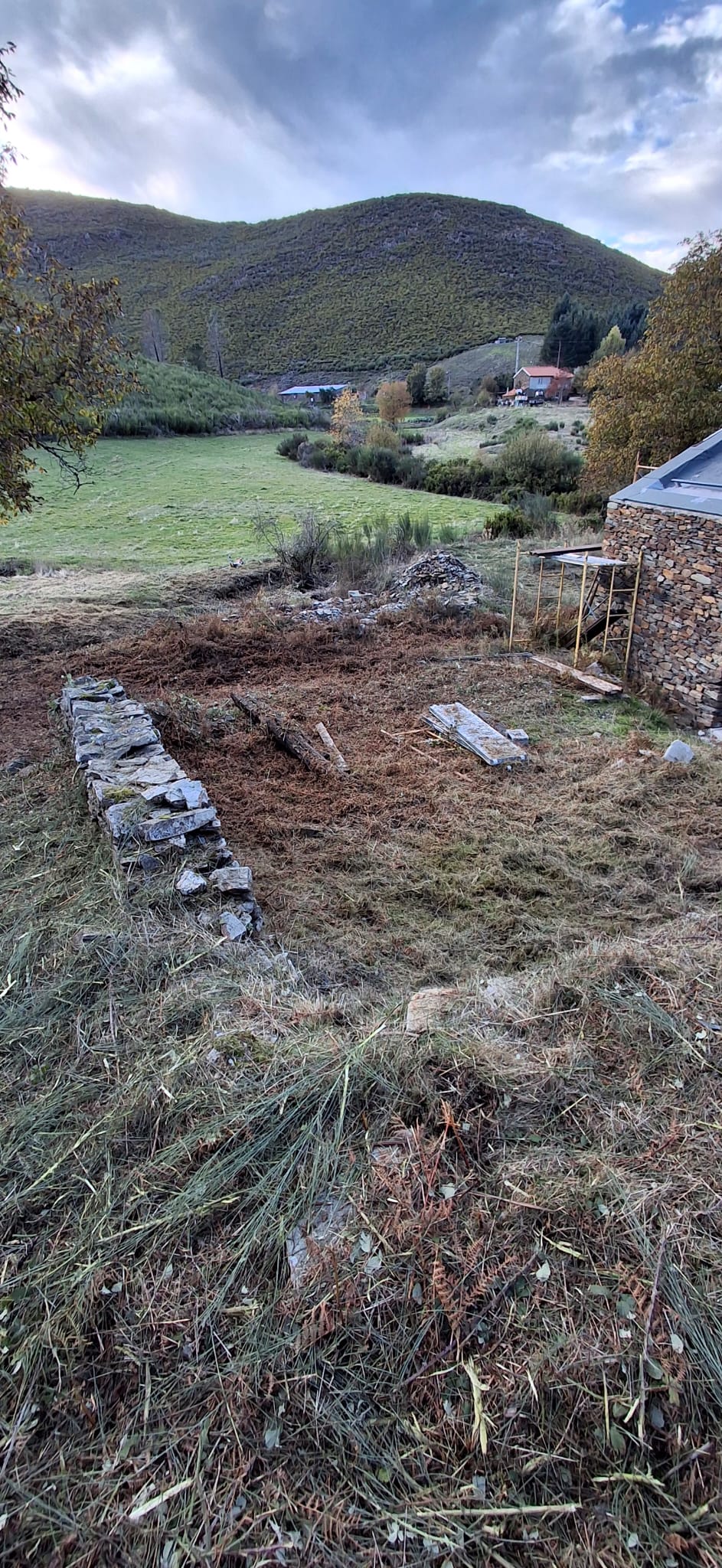 BEIRA GREEN SOLUCTIONS - Nelas - Finanzdienstleistungen und -planung