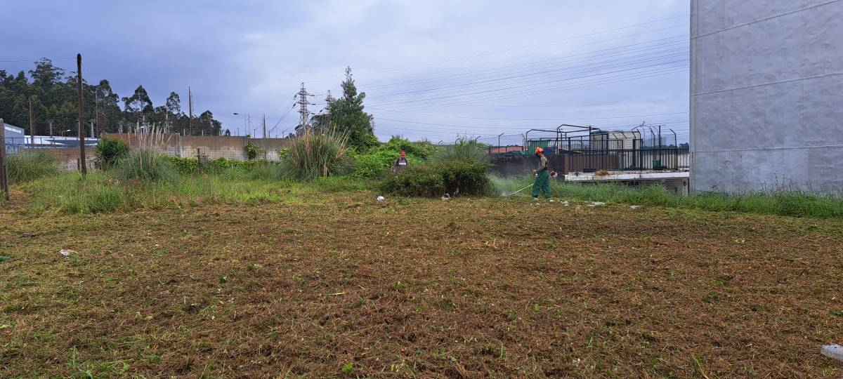 Mundo verde - Gondomar - Entretien de pelouse