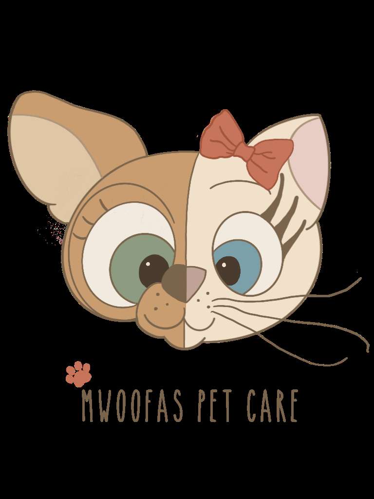Mwoofas Pet Care - Gondomar - Dog Walking