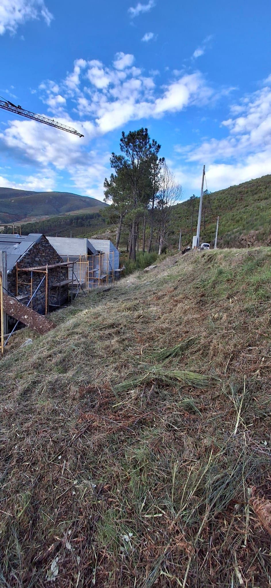 BEIRA GREEN SOLUCTIONS - Nelas - Entfernung von Gebüsch- und Baumaufwuchs