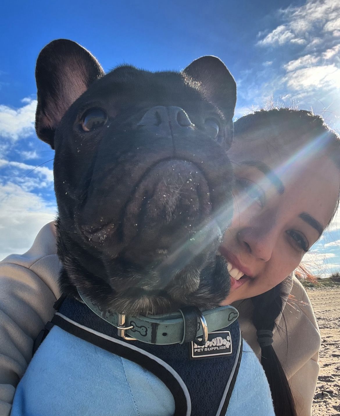 Andressa - Oliveira do Bairro - Dog Hotel