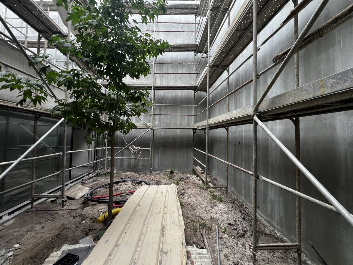 ESPECIALISTA: Manutenção e remodelação de casas; Construção de Estruturas interiores e exteriores, Aplicação de Piso Flutuante, Pintura, Limpeza Geral - Porto - Baumstumpf oder -wurzel wegfräsen und entfernen