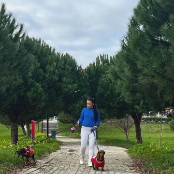 Andressa - Oliveira do Bairro - Hotel for Cats