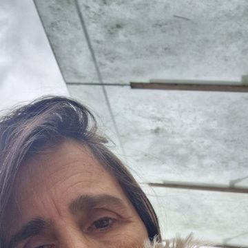 SBC PET - Seixal - Cuidar tus perros