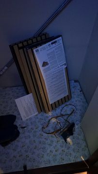 ESPECIALISTA: Manutenção e remodelação de casas; Construção de Estruturas interiores e exteriores, Aplicação de Piso Flutuante, Pintura, Limpeza Geral - Porto - Nettoyage de stores