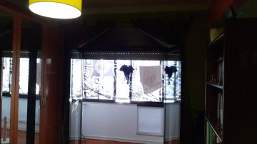 Pintor de Casas