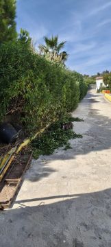 Serviço de Jardinagem