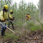Armindo Pinto - Porto - Multi Service Lawn Care