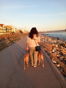 Adiestramiento de perros - Margarida Cruz - Almendral