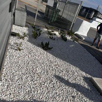 GREEN IN PLACE - Nelas - Eliminación de arbustos