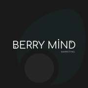 Berry Mind Marketing - Vila Franca de Xira - Marketing