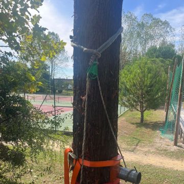 BEIRA GREEN SOLUCTIONS - Nelas - Dachreinigung