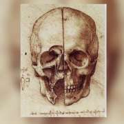 Flavio Garrett - Odivelas - Osteopathy